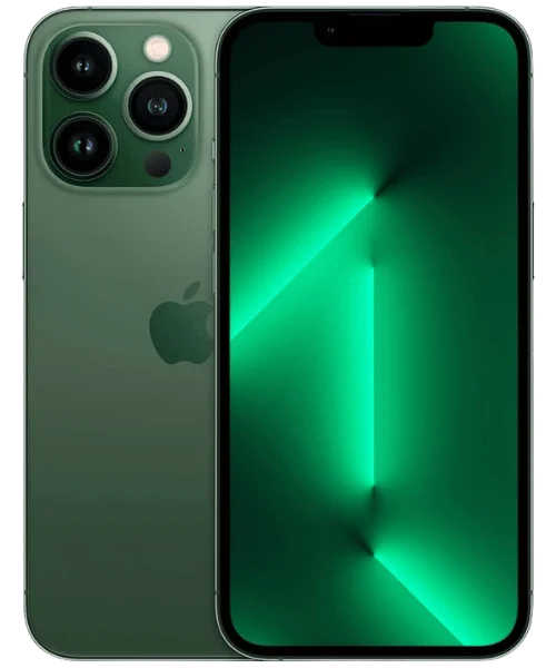 Case iPhone 13 Pro Max